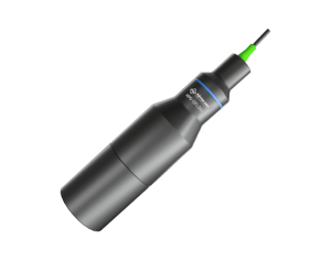 ����Ǯ������