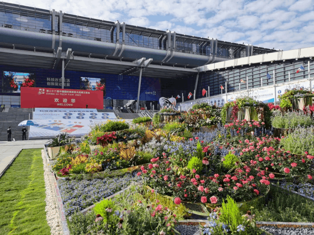 ����Ǯ������