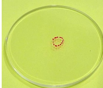 ¹º±¦Ç®°ü¹ÙÍø