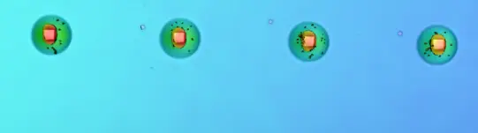 ����Ǯ������