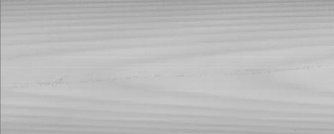 ����Ǯ������