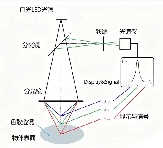 ����Ǯ������