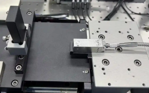 ¹º±¦Ç®°ü¹ÙÍø